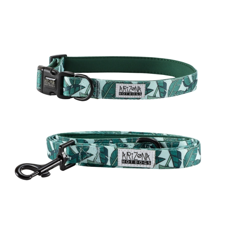 Collier Nylon pour chien - Amazonia