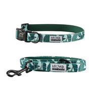 Thumbnail for Collier Nylon pour chien - Amazonia