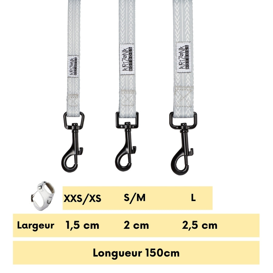 Laisse Nylon pour chien - Réglisse