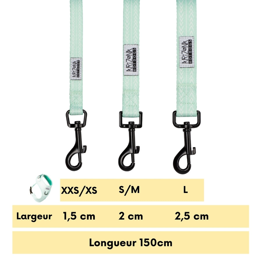 Laisse Nylon pour chien - Fresh Mint