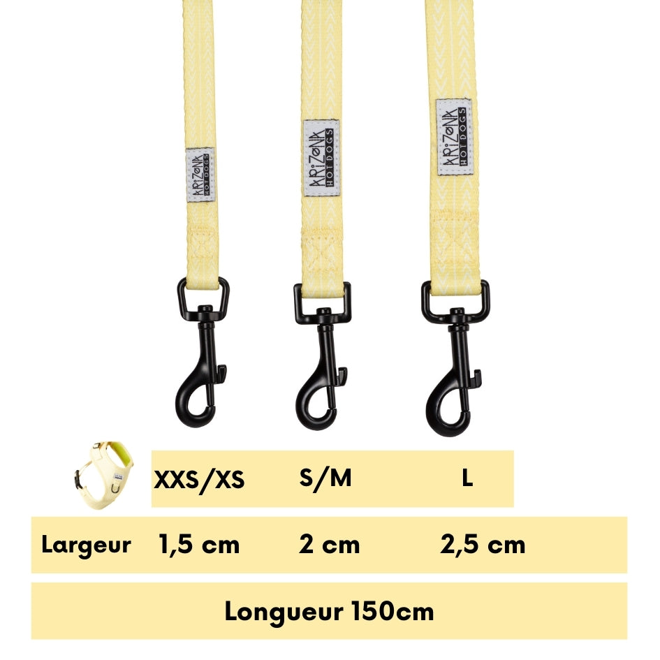 Laisse Nylon pour chien - Lemon
