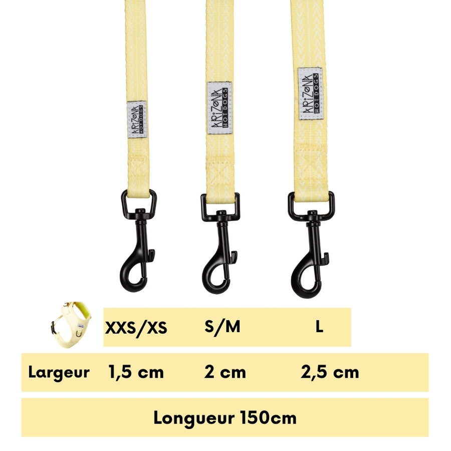 Laisse Nylon pour chien - Lemon