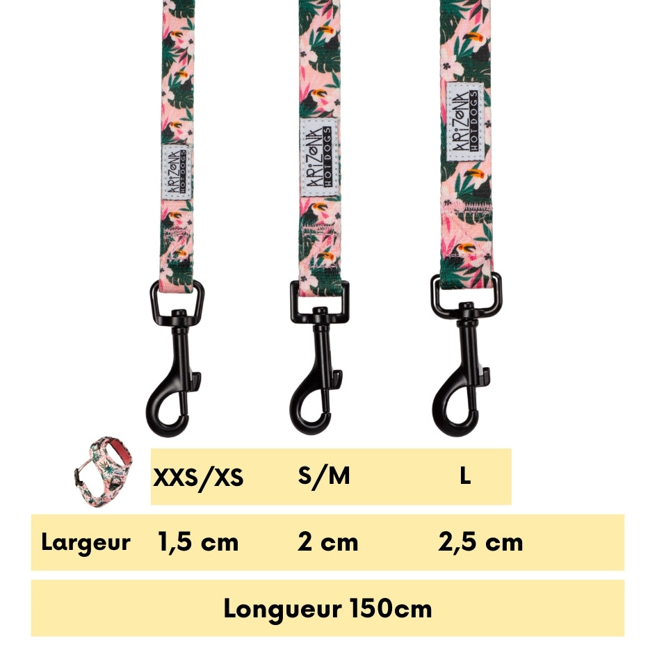 Laisse Nylon pour chien - Tropicool