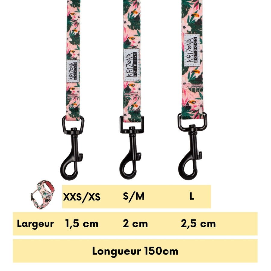 Laisse Nylon pour chien - Tropicool