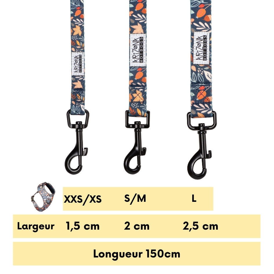 Laisse Nylon pour chien - Fall in Love