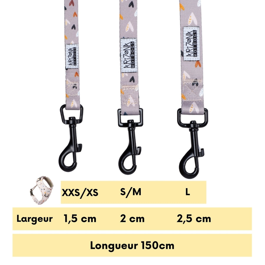 Laisse Nylon pour chien - Sweet Love