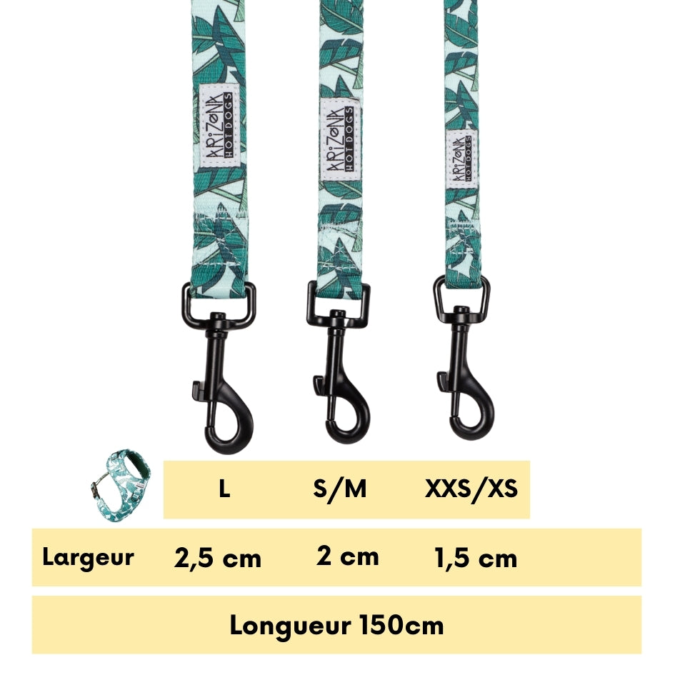 Laisse Nylon pour chien - Amazonia