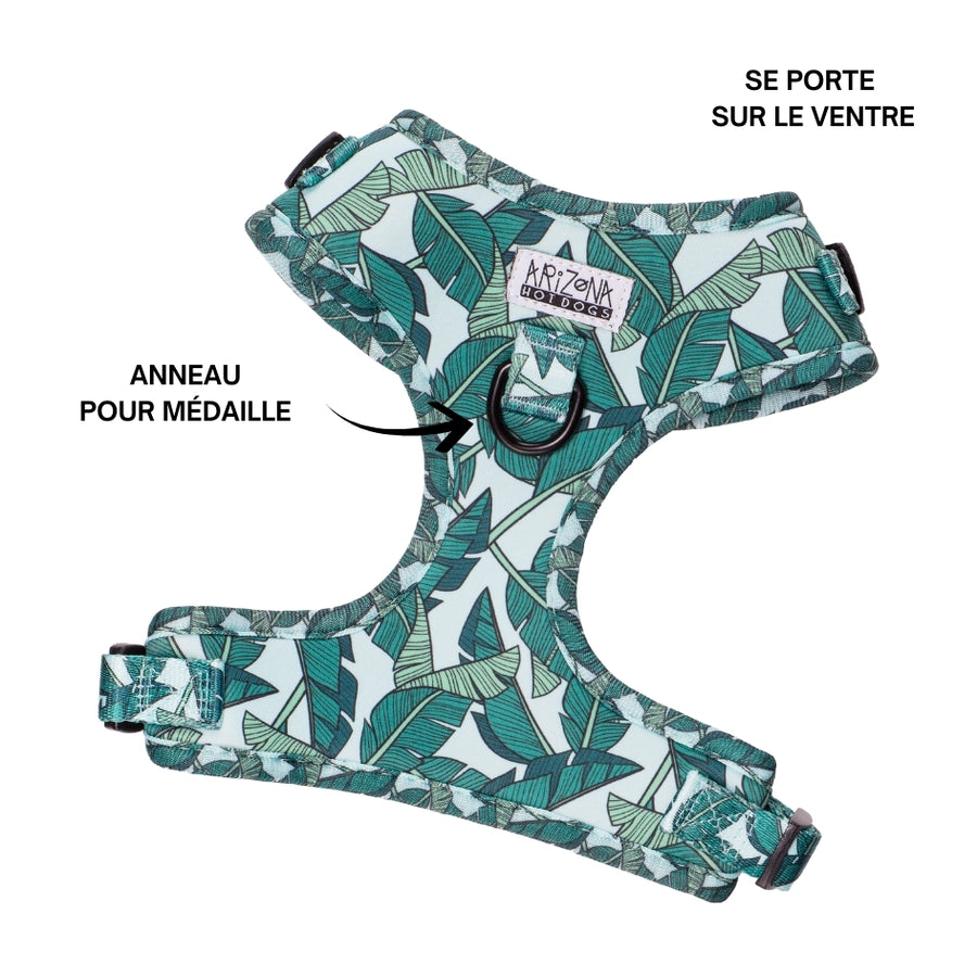 Harnais pour chien en H - Amazonia
