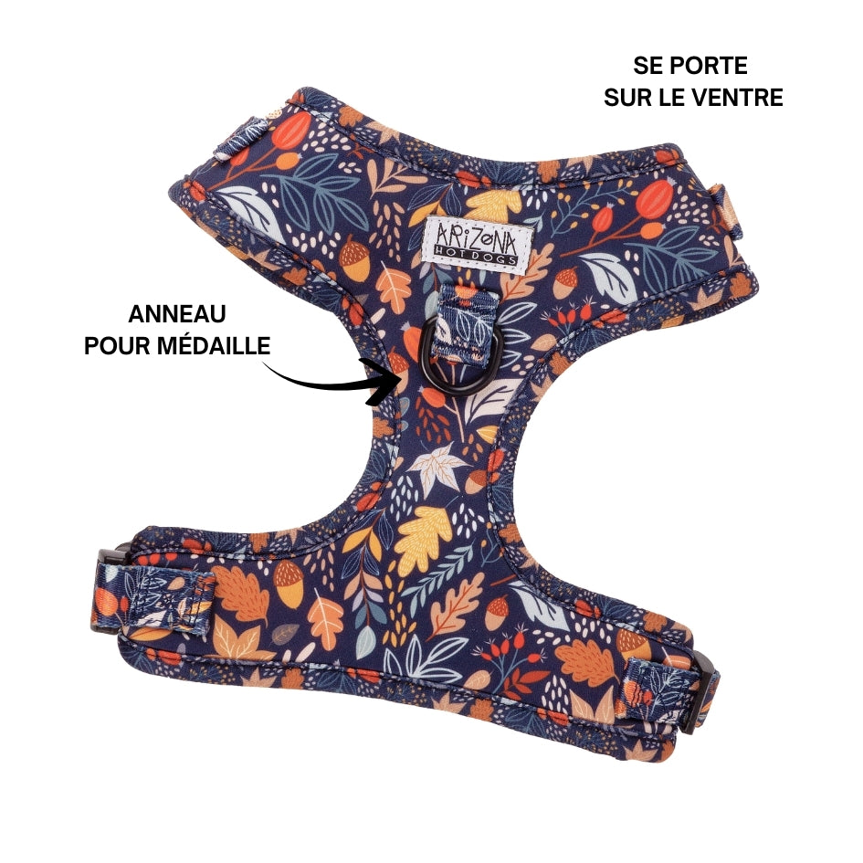 Harnais pour chien en H - Fall in Love