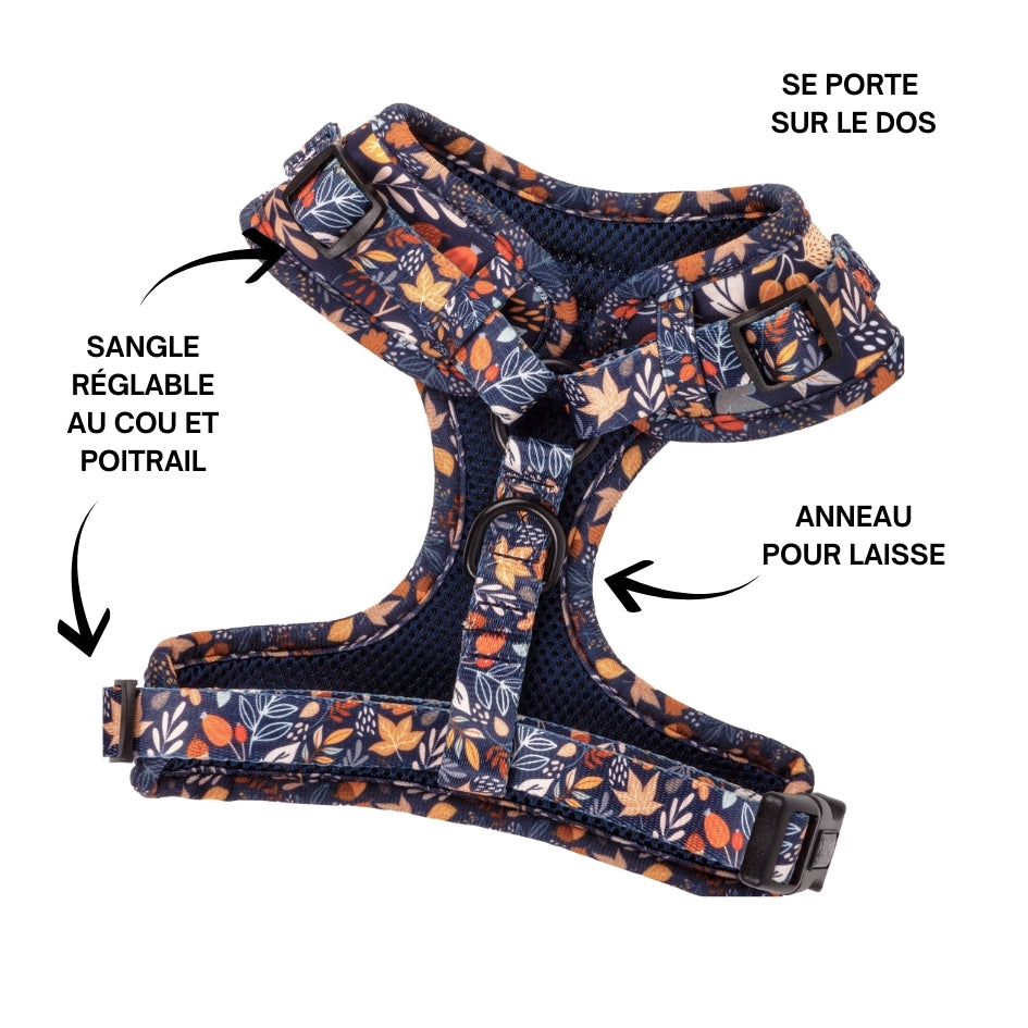 Harnais pour chien en H - Fall in Love