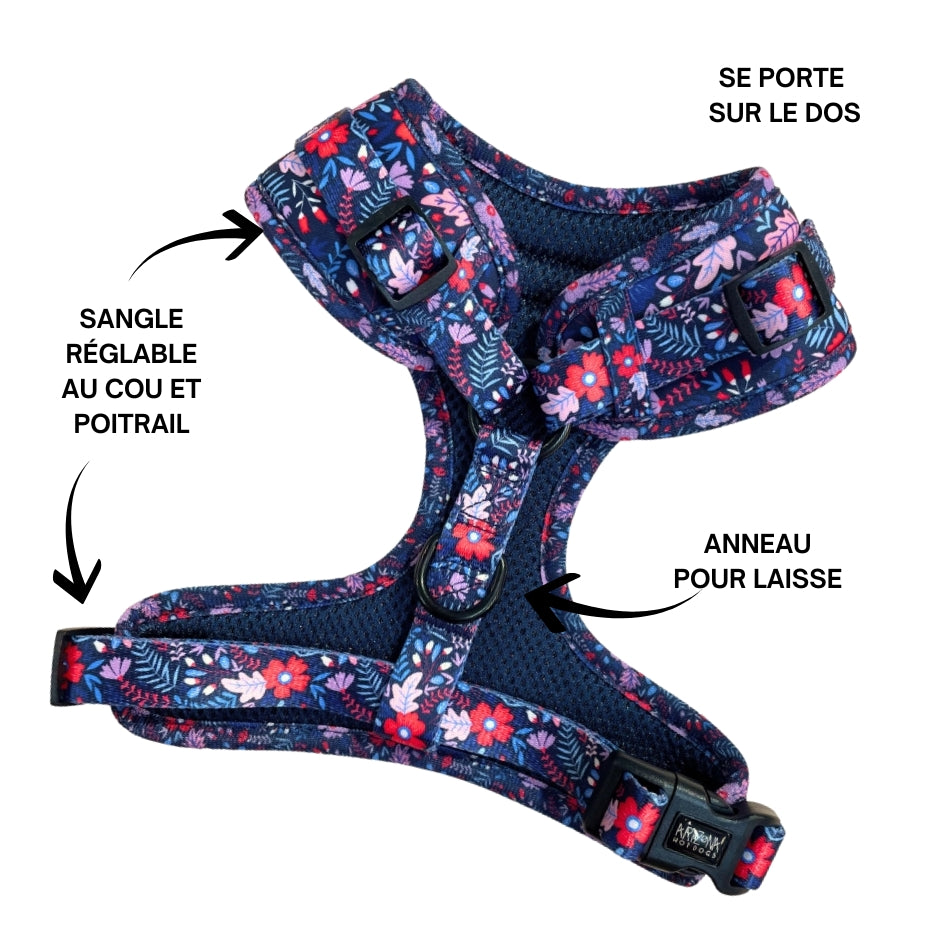 Harnais pour chien en H - Violala