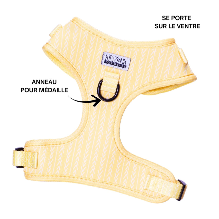 Harnais pour chien en H - Lemon
