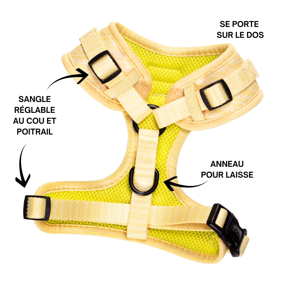 Harnais pour chien en H - Lemon