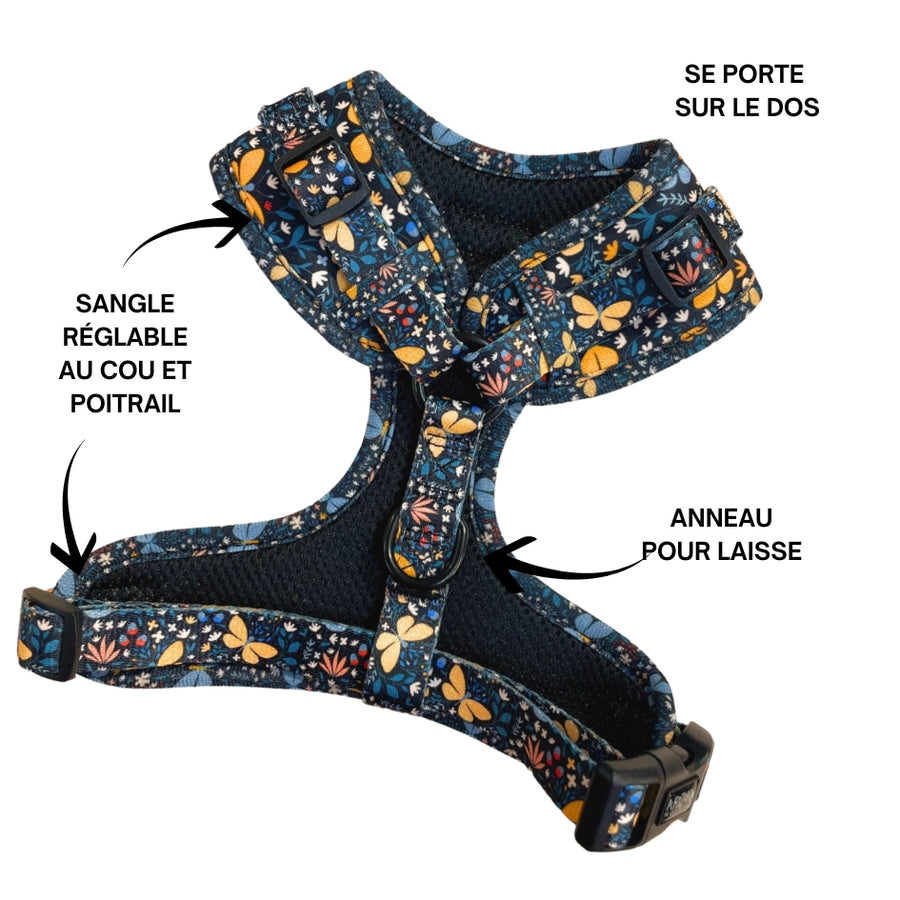 Harnais pour chien en H - Butterfly