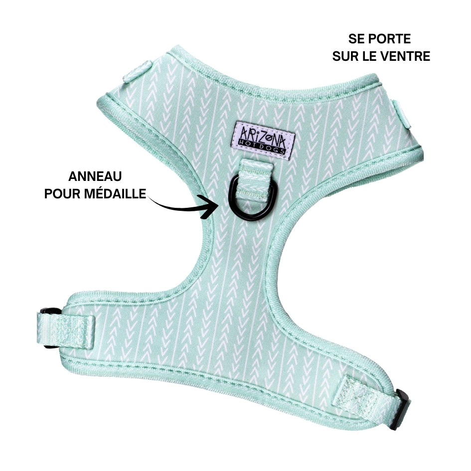 Harnais pour chien en H - Fresh Mint