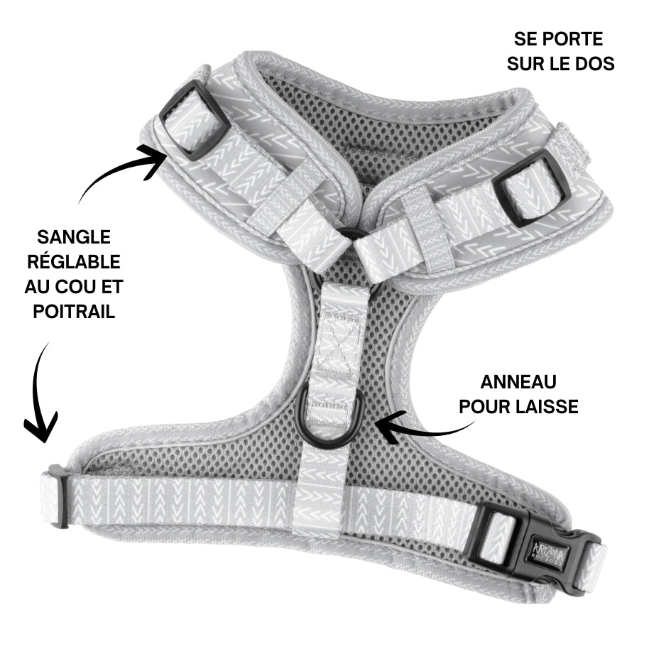 Harnais pour chien en H - Réglisse