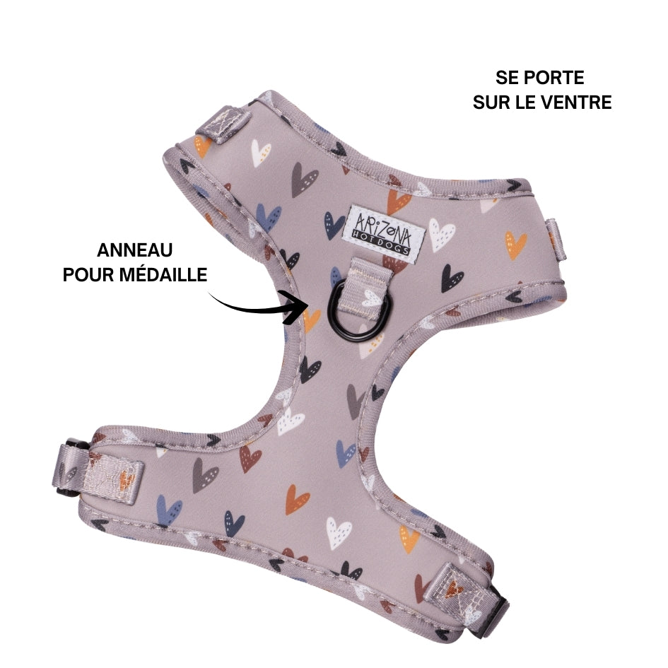 Harnais pour chien en H-Sweet Love