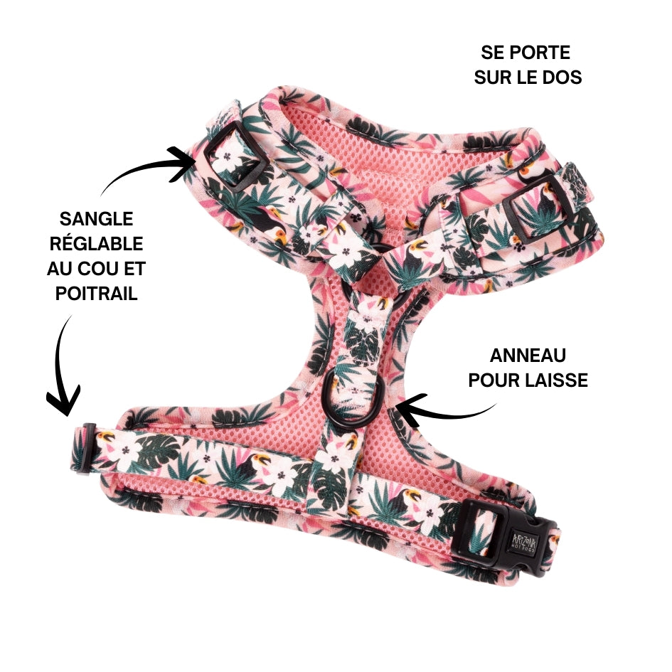Harnais pour chien en H - Tropicool