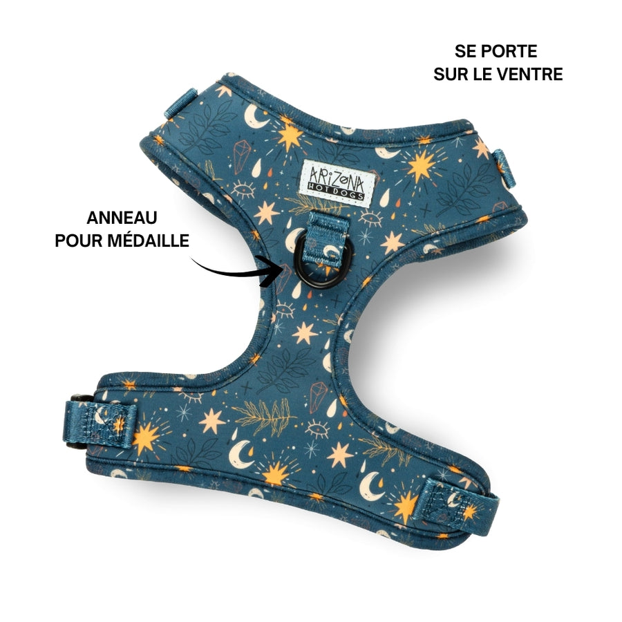 Harnais pour chien en H - Moonlight