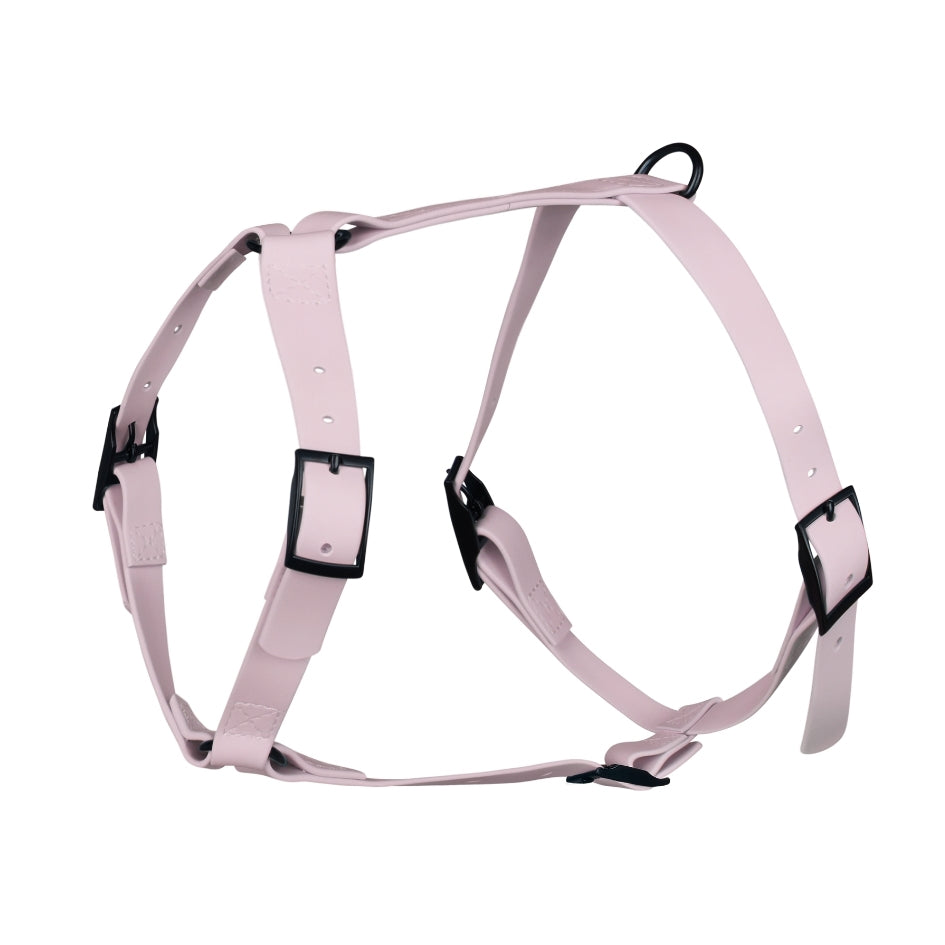 Harnais pour chien Y - Gummy Lila