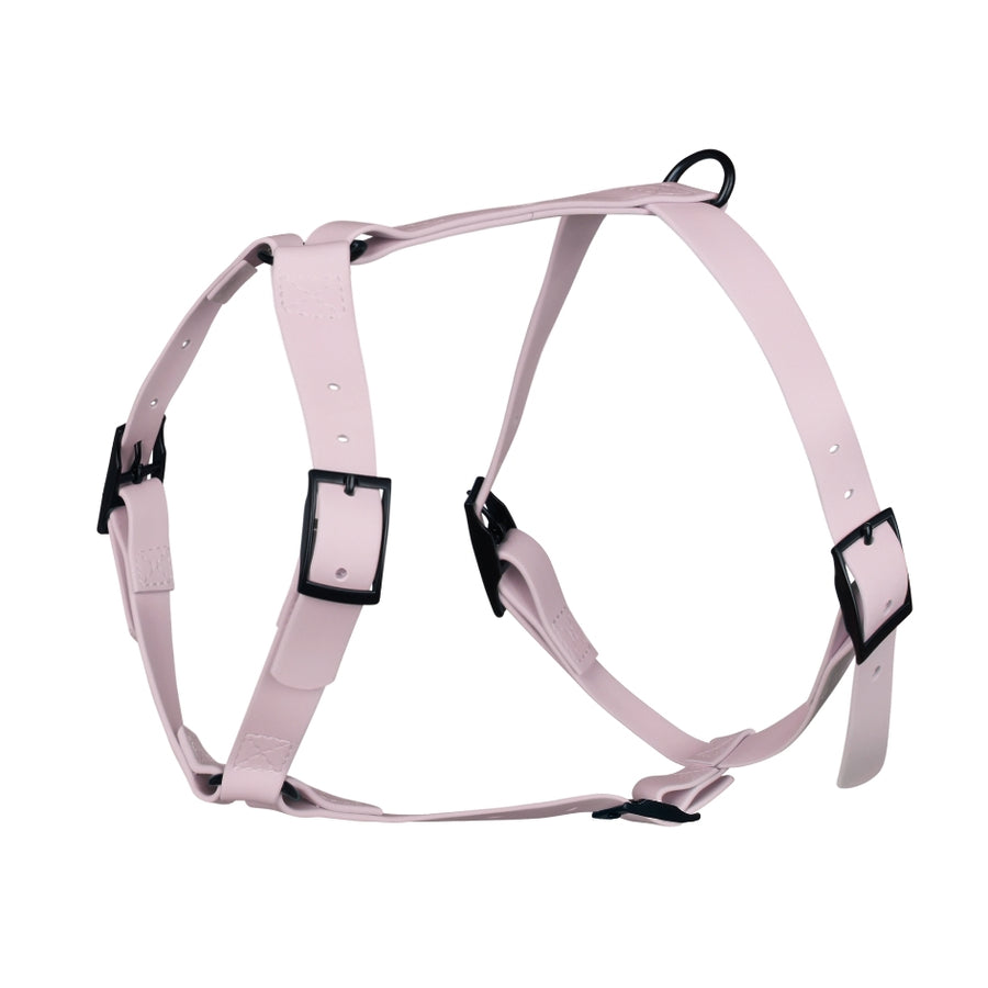 Harnais pour chien Y - Gummy Lila