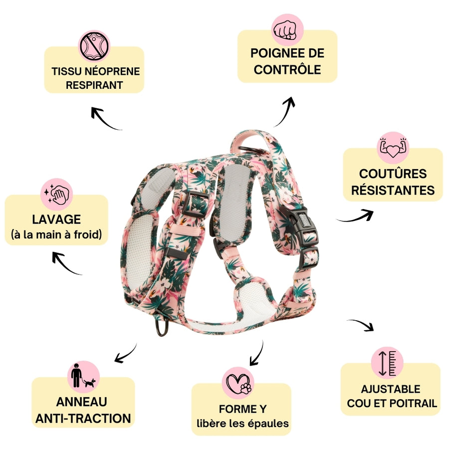 Harnais pour chien anti-traction - Comfy Tropicool