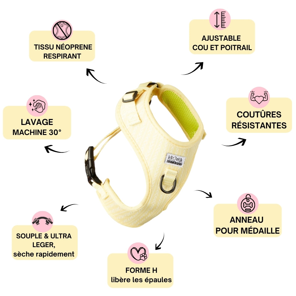 Harnais pour chien en H - Lemon