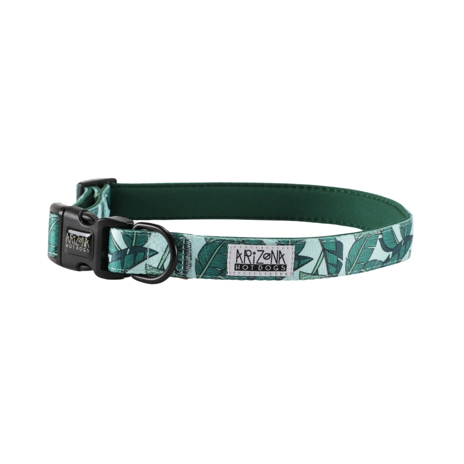 Collier Nylon pour chien - Amazonia