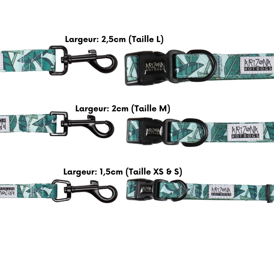 Laisse Nylon pour chien - Amazonia