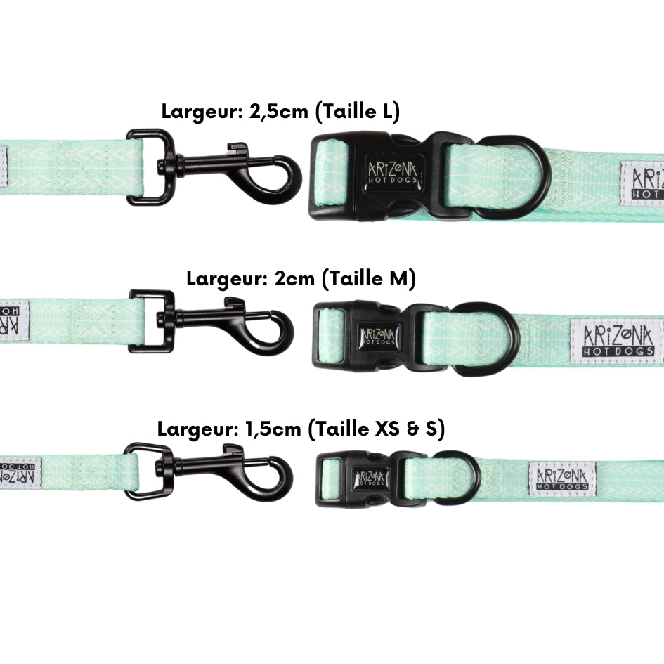 Laisse Nylon pour chien - Fresh Mint