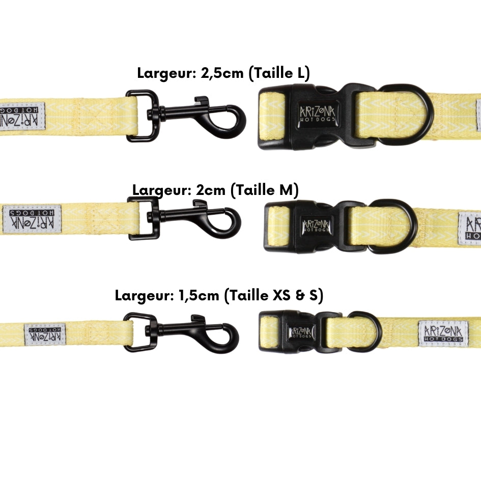 Laisse Nylon pour chien - Lemon