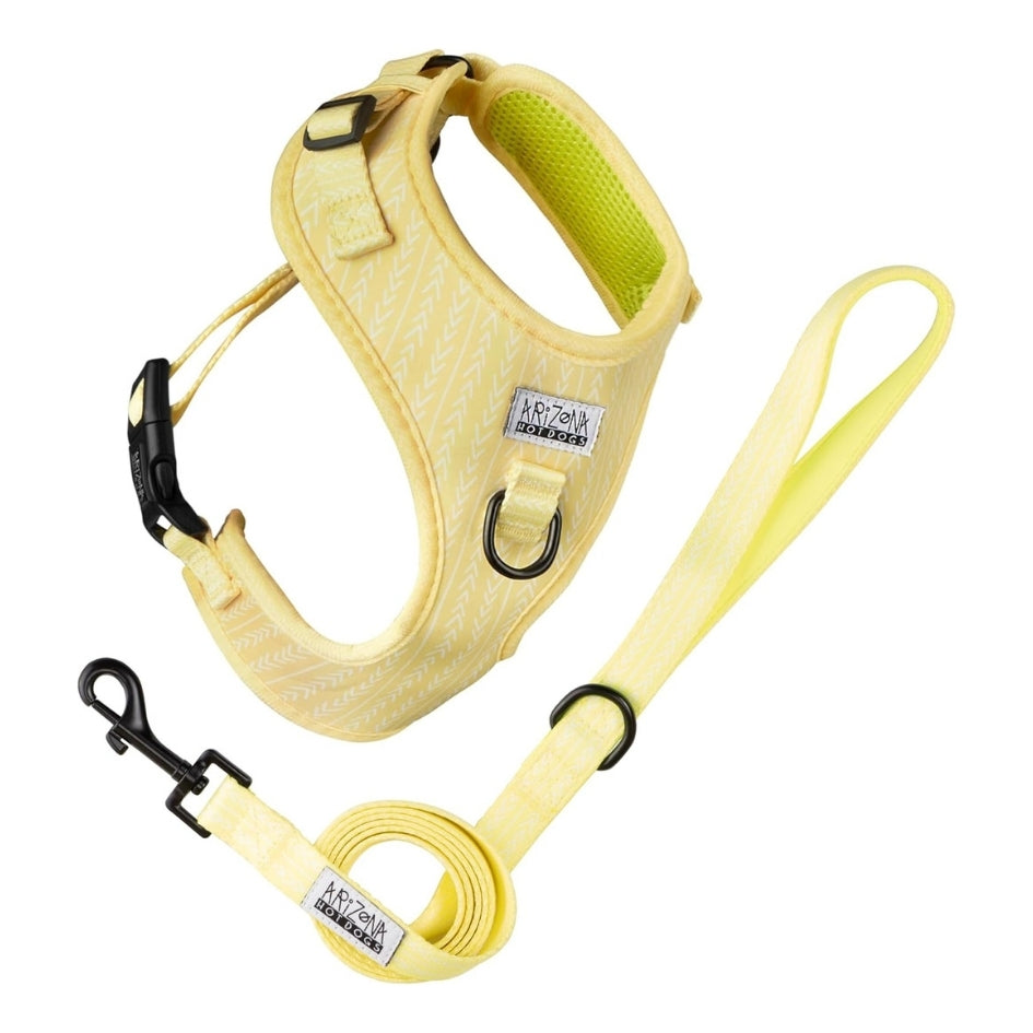 Laisse Nylon pour chien - Lemon