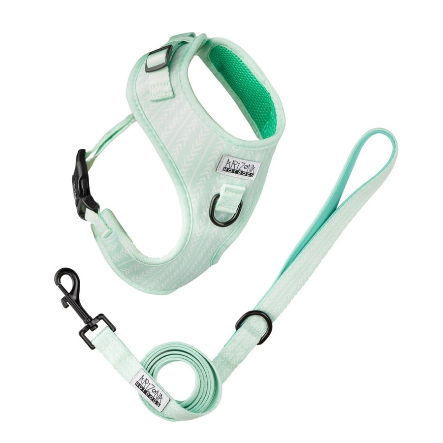 Laisse Nylon pour chien - Fresh Mint