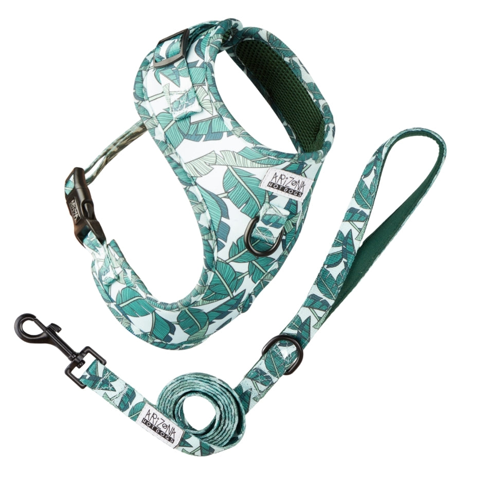 Laisse Nylon pour chien - Amazonia