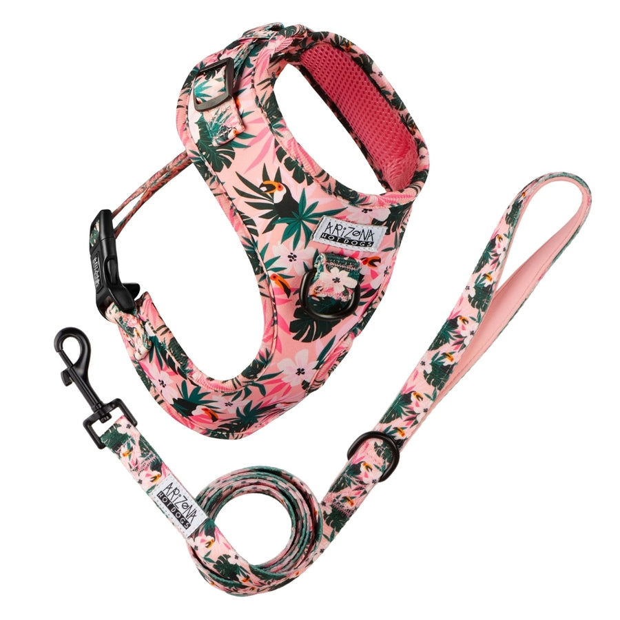 Laisse Nylon pour chien - Tropicool