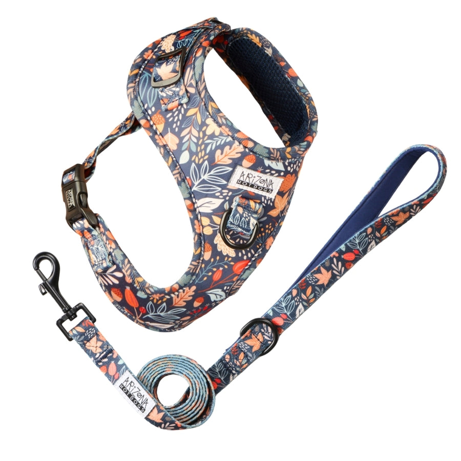 Laisse Nylon pour chien - Fall in Love
