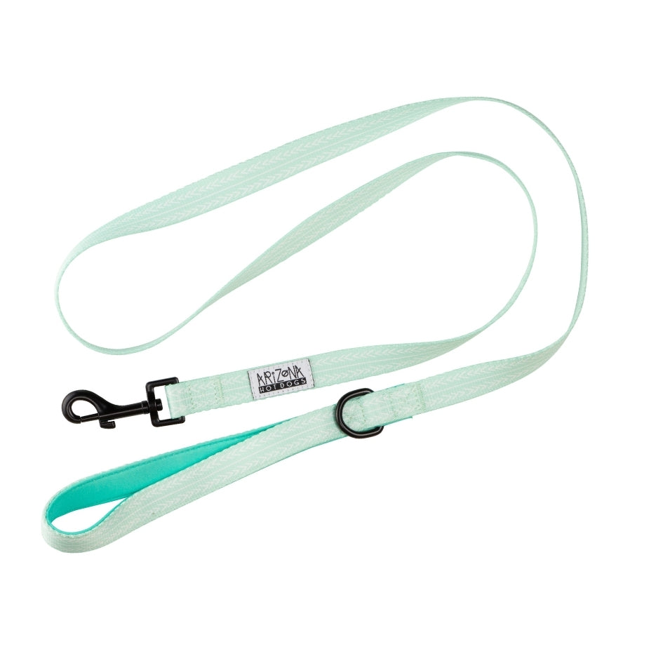 Laisse Nylon pour chien - Fresh Mint