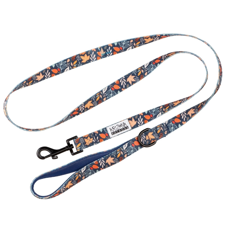 Laisse Nylon pour chien - Fall in Love