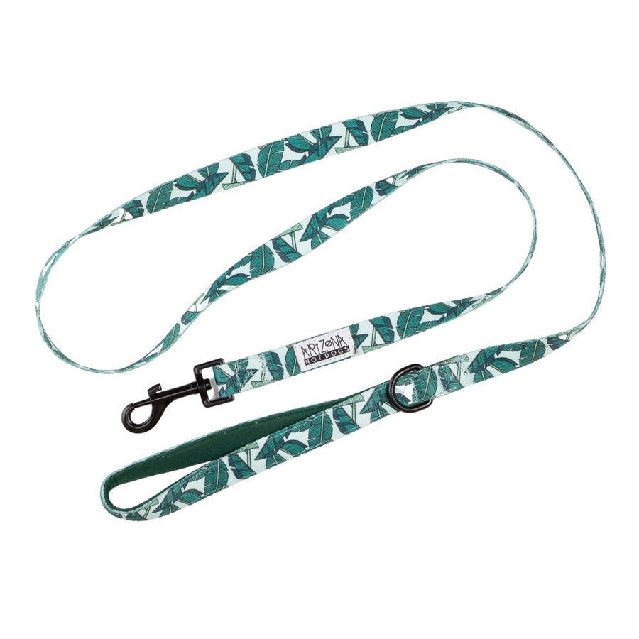 Laisse Nylon pour chien - Amazonia