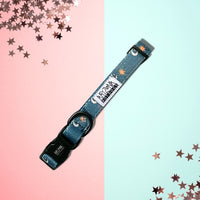 Thumbnail for Collier Nylon pour chien - Moonlight