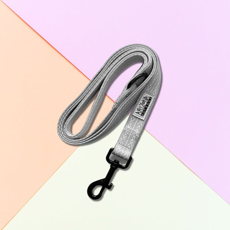 Laisse Nylon pour chien - Réglisse