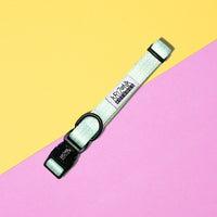 Thumbnail for Collier Nylon pour chien - Fresh Mint