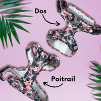 Thumbnail for Harnais pour chien anti-traction - Comfy Tropicool
