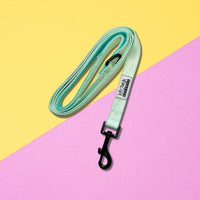 Thumbnail for Laisse Nylon pour chien - Fresh Mint