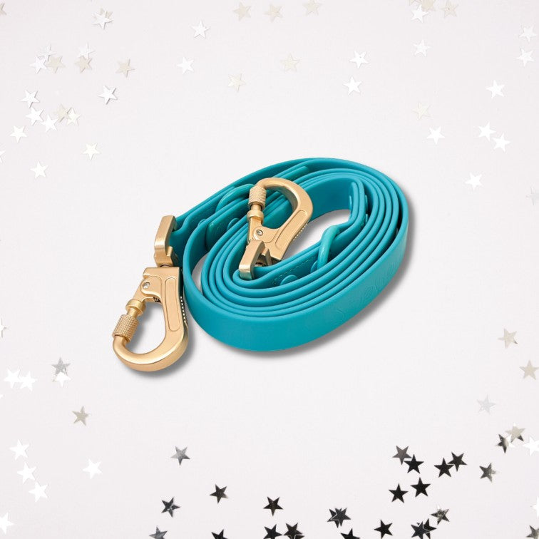 Laisse Multipositionnable PVC - Pisces