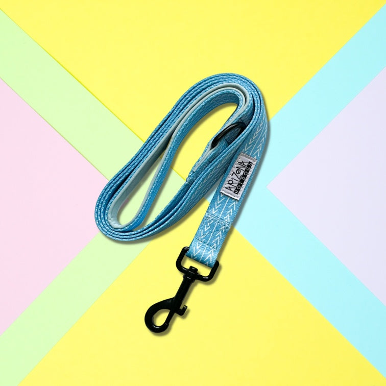 Laisse Nylon pour chien - Bubble Gum