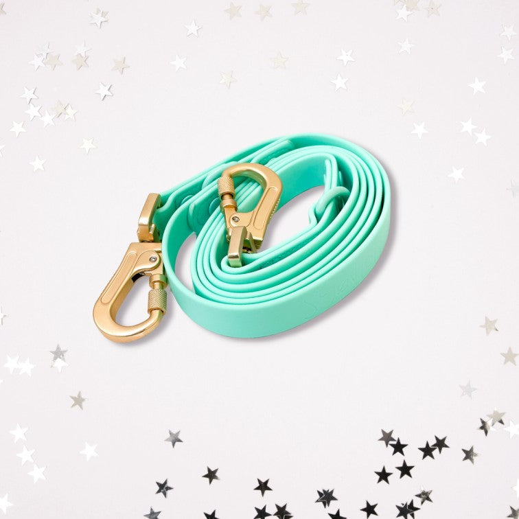 Laisse Multipositionnable PVC - Aquarius