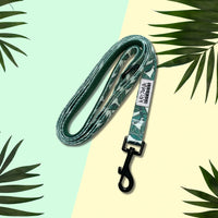 Thumbnail for Laisse Nylon pour chien - Amazonia