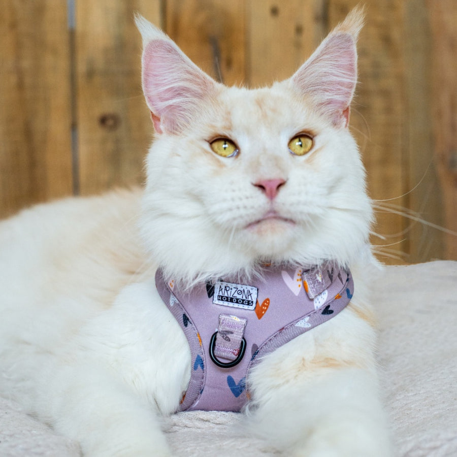 Harnais ajustable pour chat couleur taupe à motif petits coeurs