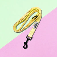 Thumbnail for Laisse Nylon pour chien - Lemon